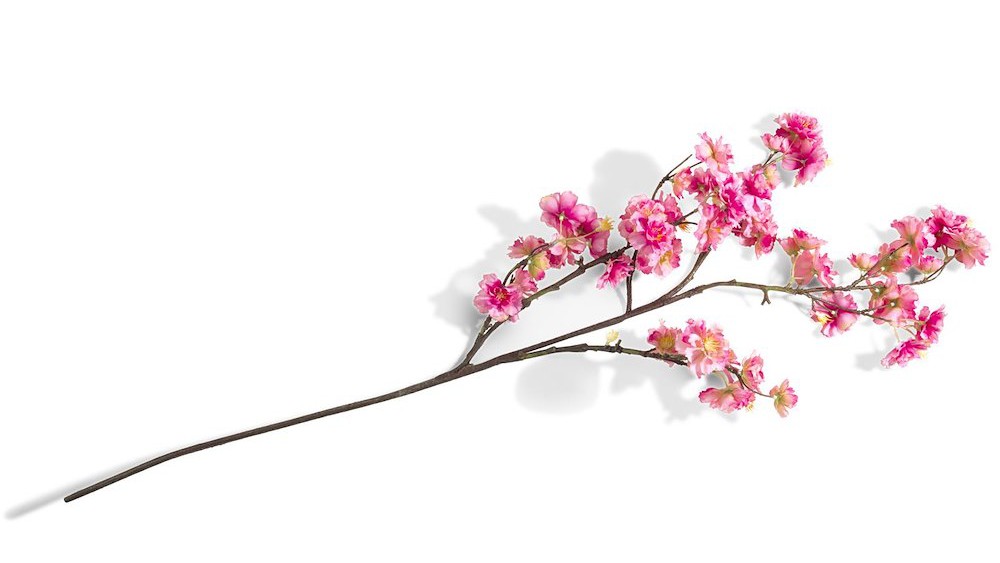 Cherry Blossom Spray H120cm