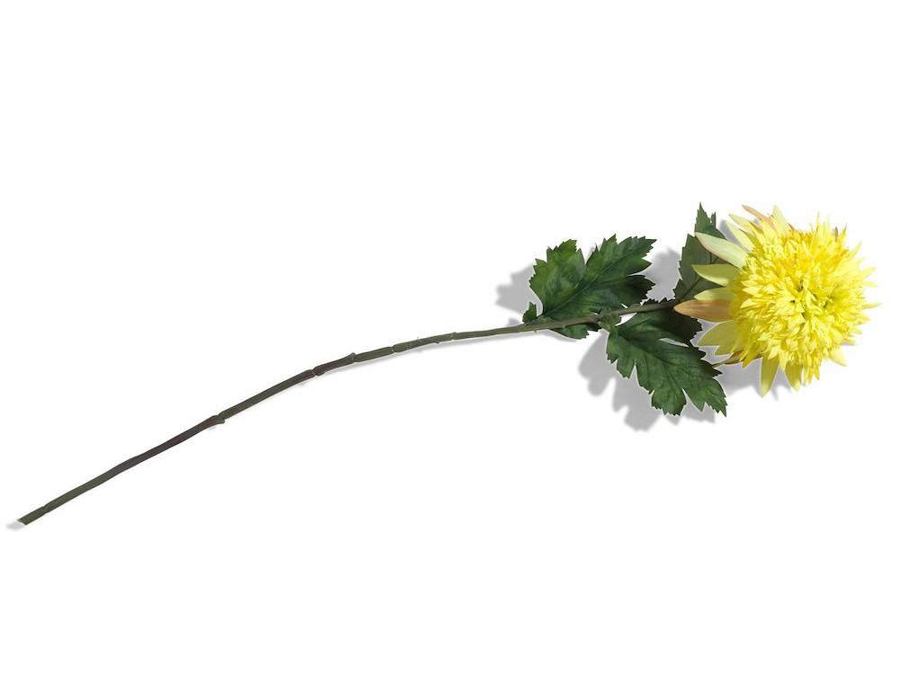 Chrysanthemum H75cm