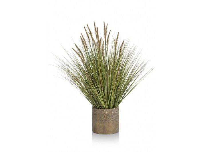 Pennisetum Grass Plant H99cm