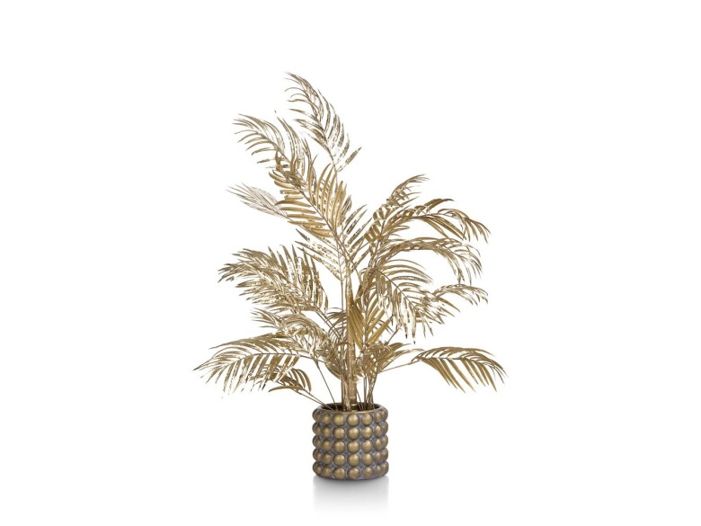 Areca Palm Plant H105cm