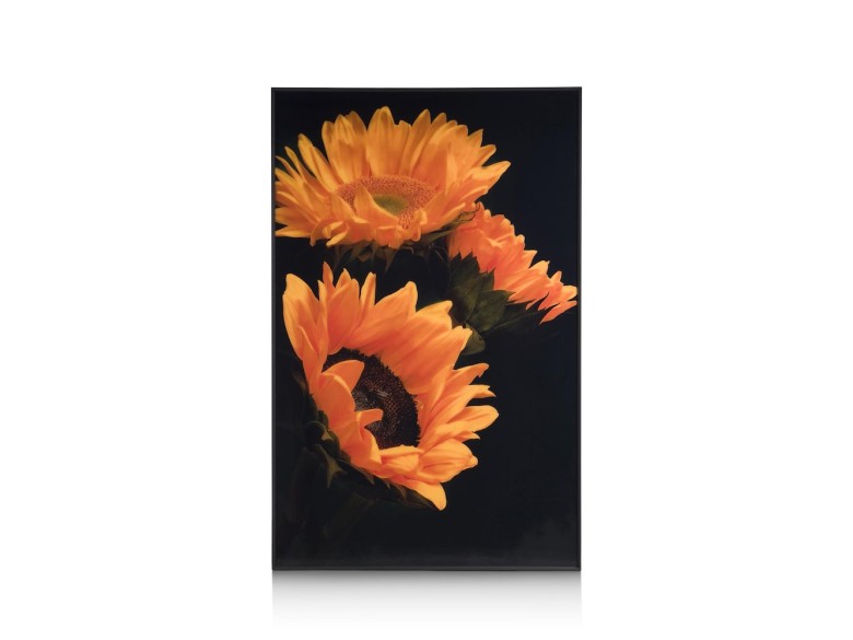 Sunflower Print 90X140cm